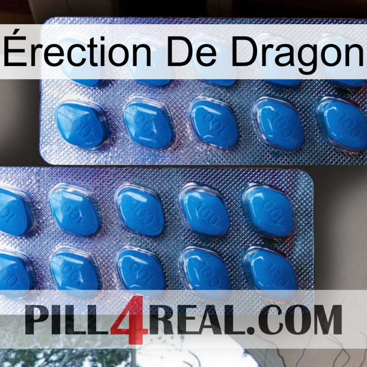 Érection De Dragon viagra2